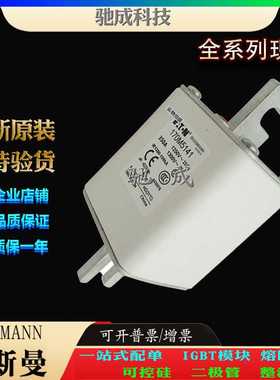 巴斯曼170M5141 170M5142 170M5143 全新工业销售价优 快熔保险丝