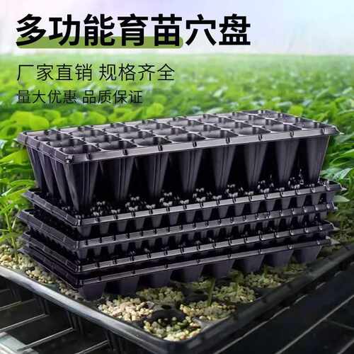 育苗盘超厚加厚特厚林木花卉育苗盘特大号黄瓜玉米耐用黑色托盘