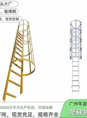 广东厂家爬梯镀锌钢爬梯护笼国标爬梯15J401图集深井直梯护笼梯子