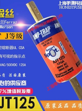Ferraz/Mersen保险丝AJT125 AMP-TRAP熔断器600V 125A class J