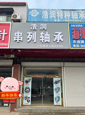 串联轴承 T5AR2264 双螺杆挤出机串列轴承 耐磨耐用 价格低质量好