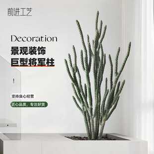 实物拍摄大型仿真仙人掌假绿植仿真植物沙漠景观造景将军柱仙人柱