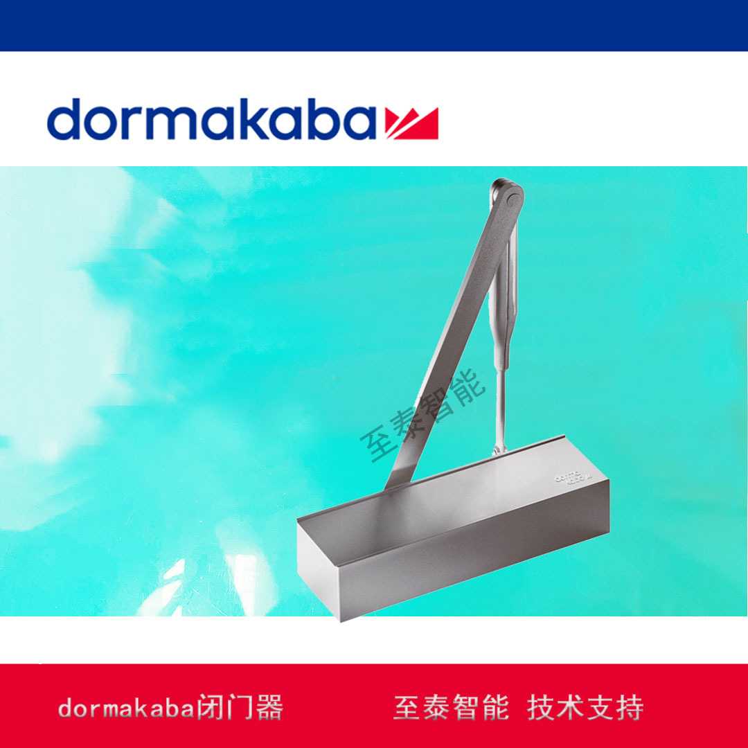 德国dormakaba闭门器 TS72 多玛不定位明装式液压缓冲闭门器100KG