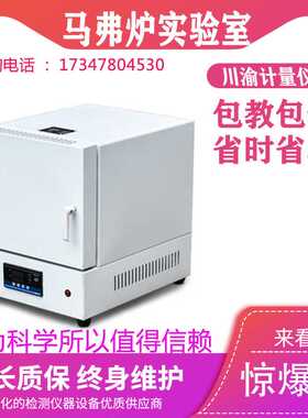 YTH-8-10 一体式马弗炉实验室热处理电炉退火淬火炉箱工业电阻炉
