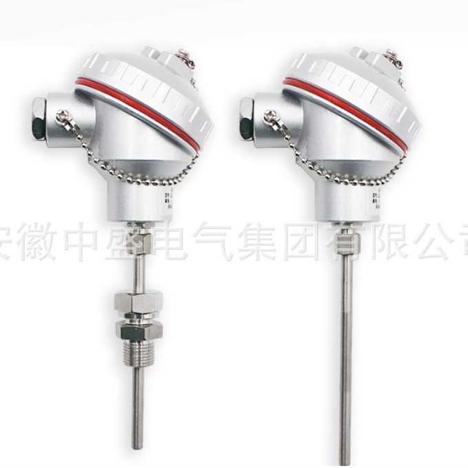 防爆热电阻热电偶WZP/WRN240铠装温度传感器BT4隔爆PT100传感器