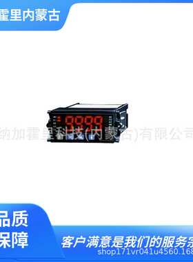 WATANABE 渡边电机 电力万用表 WLD-PAS AM-215B AM-756 AMH-148