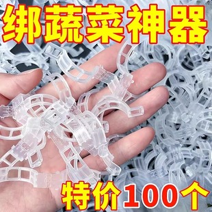 绿植果树植物固定夹卡扣藤蔓固定器秧苗爬藤支撑杆果蔬秧苗吊秧夹