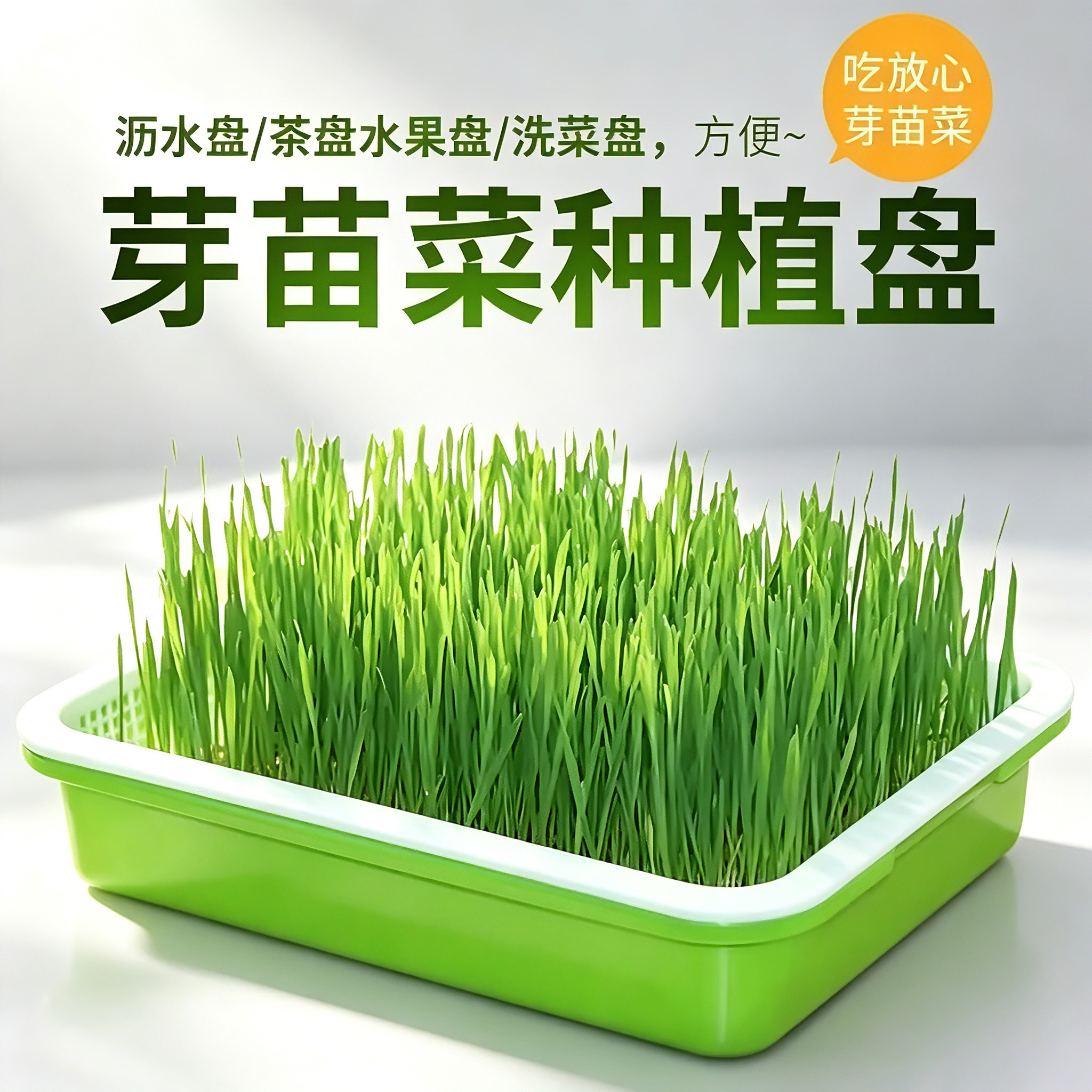 育苗盘芽苗菜阳台种菜盆水培蔬菜豆芽无土栽培育小麦蒜苗种植托盘