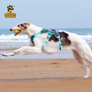 中大型犬防爆冲可提拉遛街胸背背心式狗狗胸背带