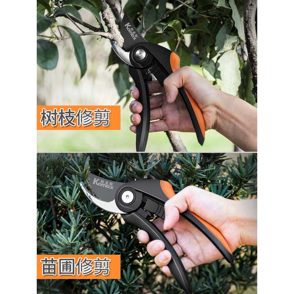 德国精工sk5园林剪修枝专用剪刀果树修枝剪粗枝花卉园艺剪刀家用