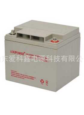 LOUPOWER莱力蓄电池6-GFM-38 12V38AH 铅酸免维护UPS直流屏电池