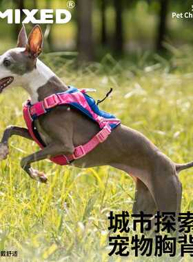 UNMIXED城市探索者胸背衣狗背带狗狗遛狗胸背带背心式小型犬
