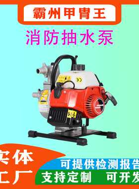 小型手提式QGZ40-35 (1E40F-7A)高压接力水泵42.7ml排量吸水泵