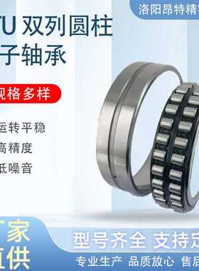 源头厂家NN3020K/P4W33高精密机床主轴双列圆柱滚子轴承 替代进口