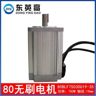 80直流无刷电机高压310V功率750W 轴径19mm带霍尔伺服马达工控设