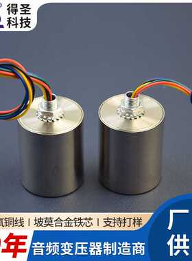 DSUI24530音频变压器600：600OTC高端音频牛