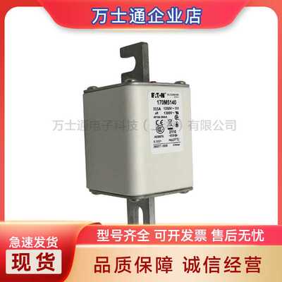 170M5266 170M5267 170M5268 170M6258 170M6259 170M6260熔断器