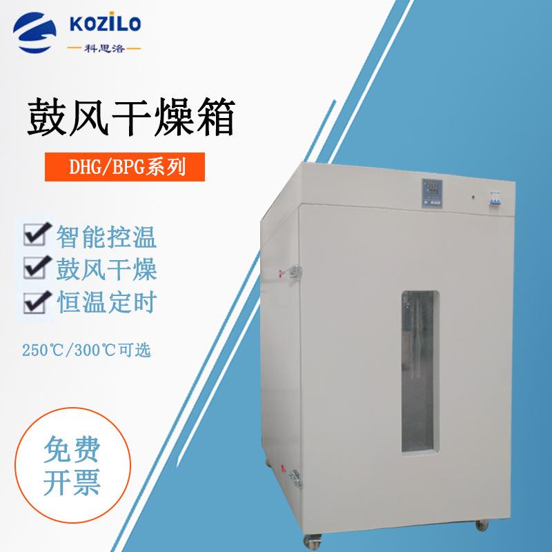 厂家供应D9620A电热鼓风干燥箱高温烘箱老化试验箱恒温干燥箱