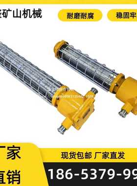 矿用隔爆型LED巷道灯煤矿井下 矿用巷道灯DGC36/127L（A）摇床
