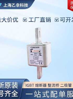 巴斯曼熔断器 170M4159 170M4160 170M4161 170M4162 170M4163