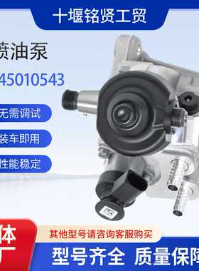 CP4燃油泵0445010543 03L130755A  适用于奥迪大众