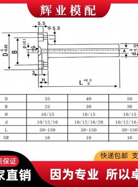 广标C型35/40/50头加硬唧咀精密浇口套注塑模具唧嘴10121620