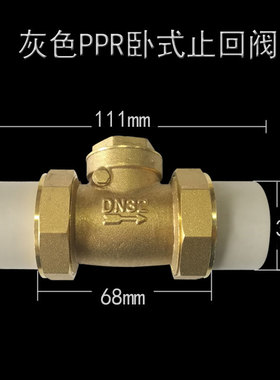 PPR20253i2405063卧式止回阀单向阀防倒流阀逆止阀灰色立式止回阀
