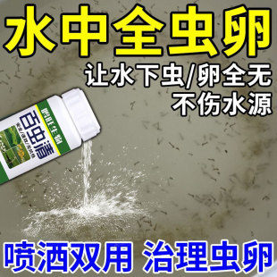 水下孑孓虫水培植物杀虫蚊子幼虫植物杀虫剂水池灭蚊药水虫生物剂