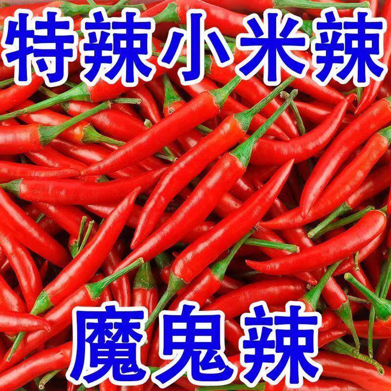 广西正宗小米辣椒新鲜红辣椒朝天椒农家特辣泡椒尖椒指天椒直发