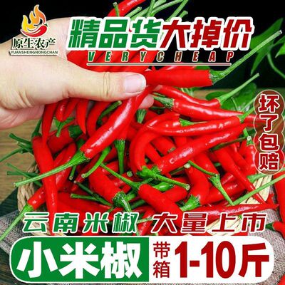 现摘现发现摘小米辣鲜椒特辣新鲜魔鬼辣椒朝天椒红辣椒蔬菜整箱