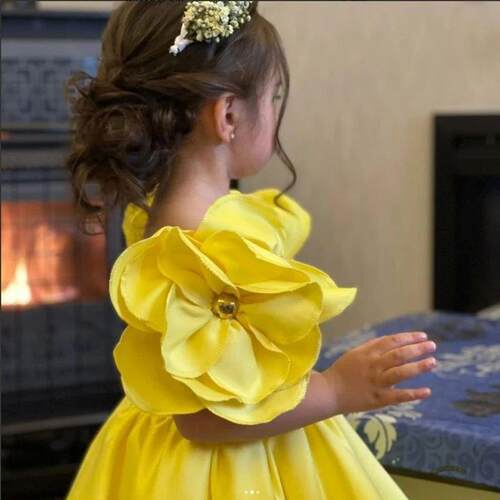 New Fashion Flowers Girls Dress 1st Year Birthday Party Baby