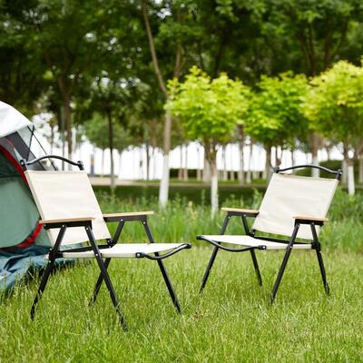 2-piece Folding Outdoor Chair for Indoor, Outdoor Camping, P