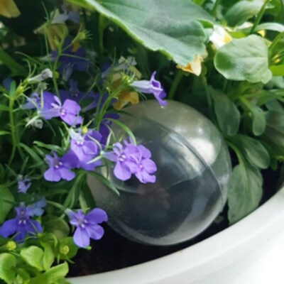 5pcs Automatic Plant Self Watering Water Feeder Plastic PVC