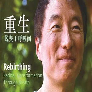 杨定一重生蜕变与呼吸间课程活在当下净化杂念谐振式呼吸引导视频