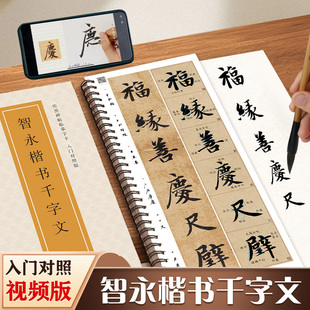 智永楷书千字文传世碑帖临摹字卡入门对照版楷书毛笔字帖全文视频逐字精讲基础教程练字帖成人初学者近距离临摹字卡放大版书法原帖
