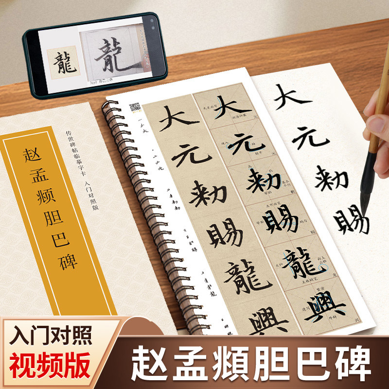 赵孟頫胆巴碑传世碑帖临摹字卡入门对照版楷书毛笔字帖全文视频逐字精讲 教程练字帖成人初学者近距离放大版赵体楷书书法原帖临帖