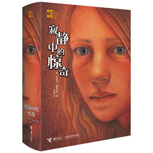 寂静中的惊奇 造梦的雨果系列 儿童文学图画故事书 老师推荐中小学生寒暑假课外阅读书籍