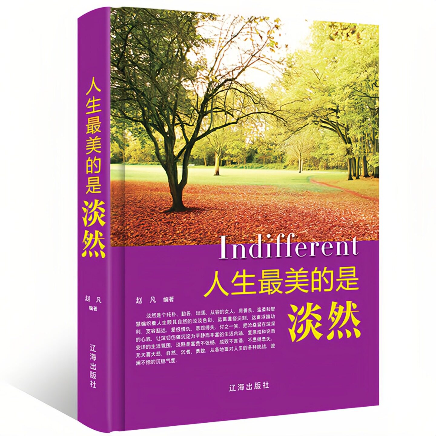 人生最美的是淡然 精装硬壳 励志成功自我完善心灵鸡汤书籍