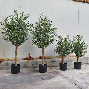仿真橄榄树绿植假树造景观家居客厅商场店铺橱窗酒店餐厅装饰摆件