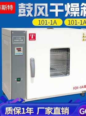 天津泰斯特 101-0DB 电热恒温烘干干燥箱 101-0AB鼓风干燥箱