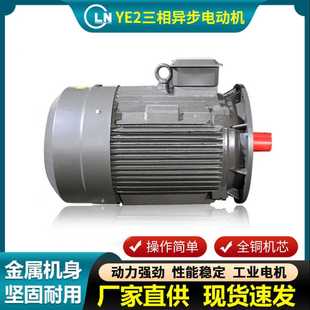 30三相交流电机 三相异步电动机厂家 225M 铸铁全铜线电机 YE2