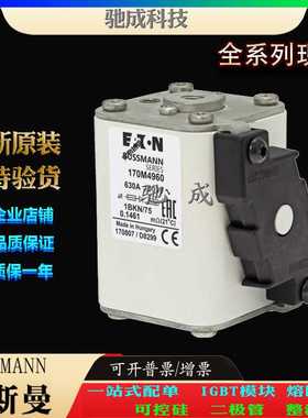 巴斯曼170M4968 170M4921 170M4922 销售供应 零售 快熔保险丝