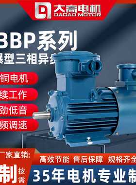 大高YBBP隔爆型变频调速三相异步电动机立卧式其他规格可定电机厂