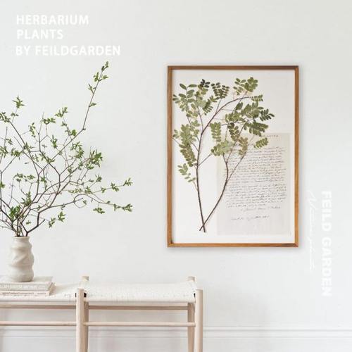 简约法式复古欧式中古风格植物标本装饰画壁画挂画胡桃木相框软装