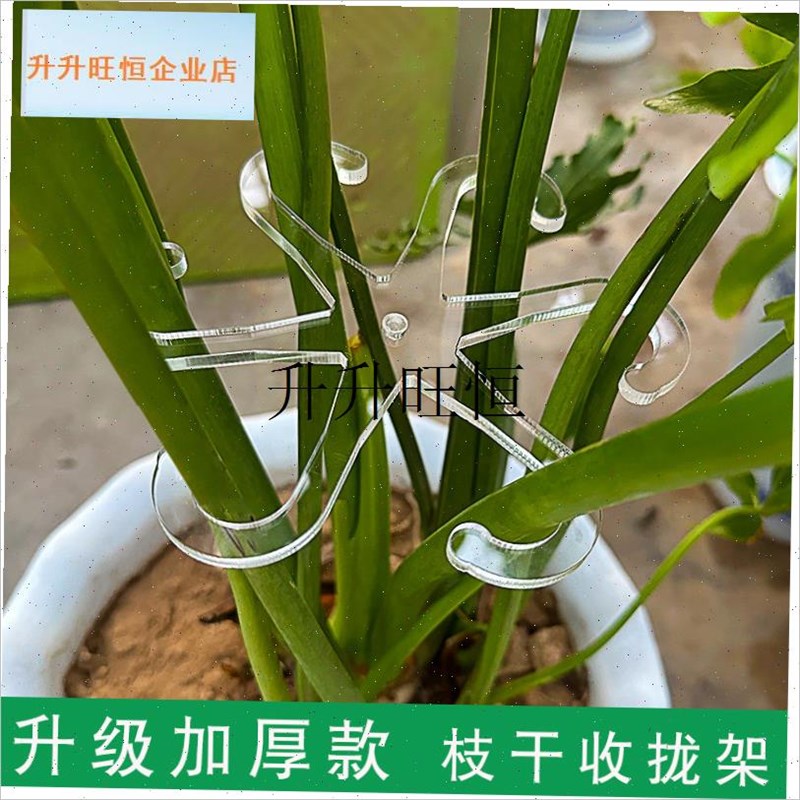 ,支架龟背a竹支撑杆春羽水培绿B植物防倒伏收拢架园艺绿植固定器