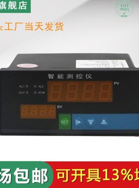 WP-LEQT3-C6E1 /WP-C403-00-12-N 单项数显表