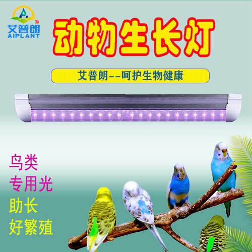 艾普朗牌全光谱动物生长灯宠物鸡鸟鹦鹉鸽子繁殖龟昆虫养殖补光灯