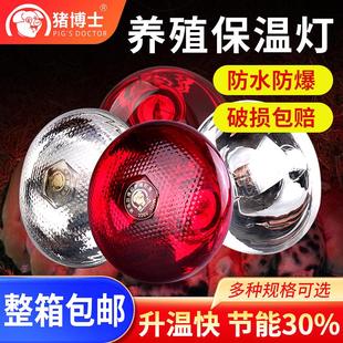 猪博士猪用保温灯养殖场专用防水爆兽用取暖加热灯泡烤灯猪圈设备