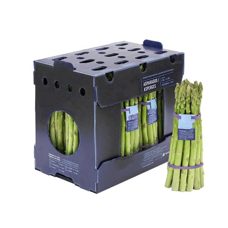 中空板果蔬包装箱周转箱PP塑料水果中空板箱冷藏箱可折叠可循环