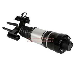 Front Left Air Suspension Strut for Mercedes-Benz W211 E300